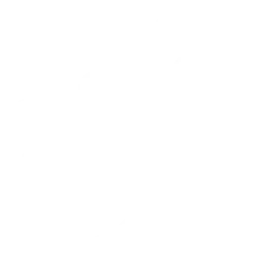 icon-2-white