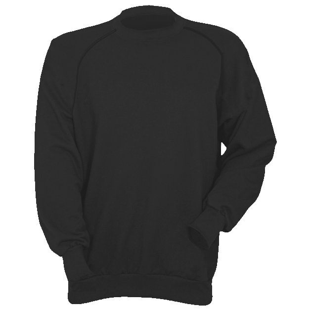 Raglan ARC Sweatshirt - Image 2